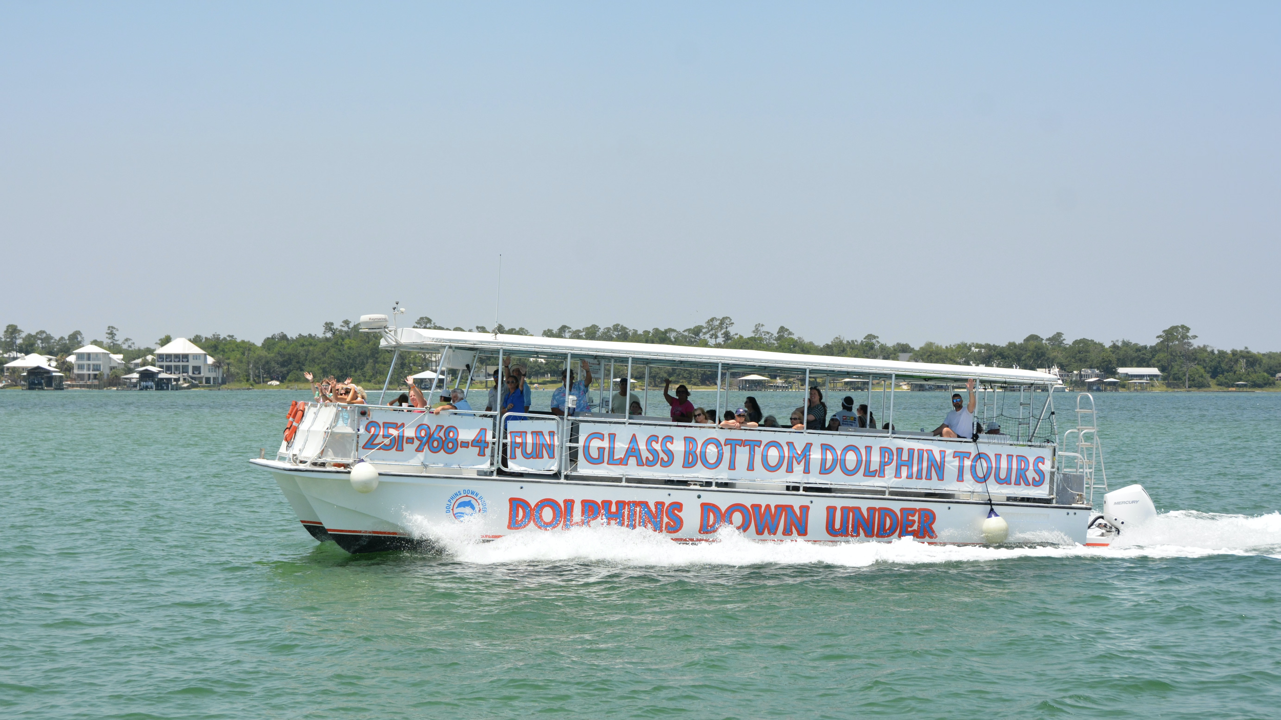 ABOUT — Dolphins Down Under